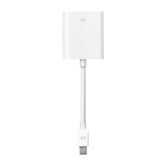 apple mini DisplayPort