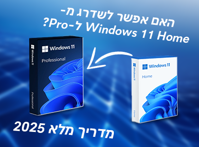 window 11 pro vs home 